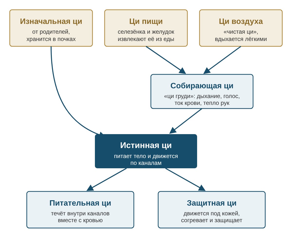 Схема: откуда берётся ци